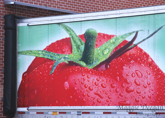 2009 Project 365