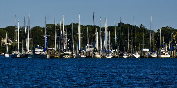 Travel 2010