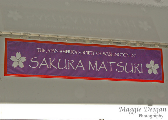 Sakura Matsuri - Japanese Street Festival