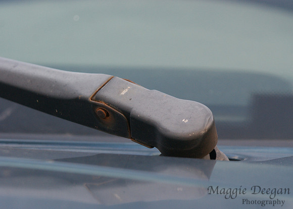 2009 Project 365