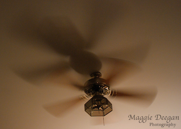 2009 Project 365