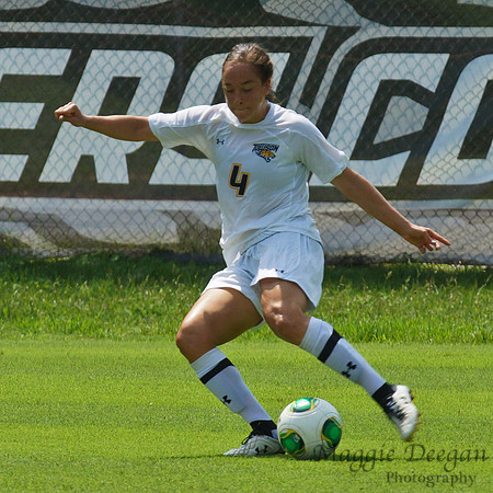 Towson University Mount St. Mary's University