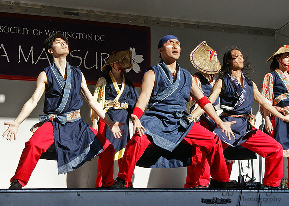 Sakura Matsuri - Japanese Street Festival