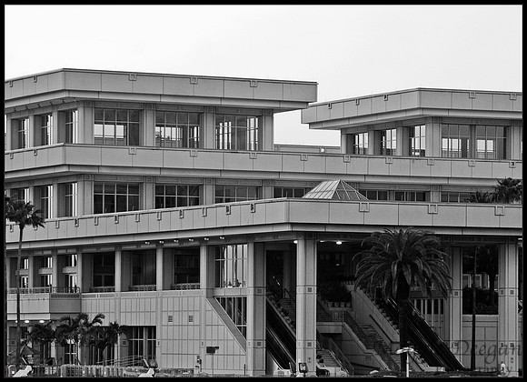 Apr 5 B&W Nature