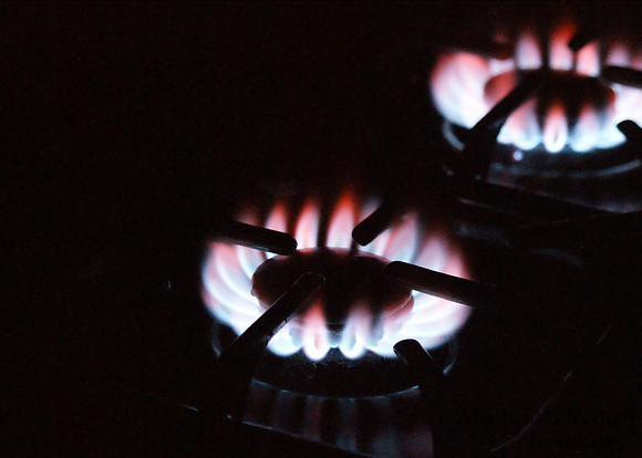 2009 Project 365