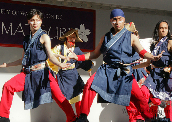 Sakura Matsuri - Japanese Street Festival