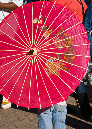 Sakura Matsuri - Japanese Street Festival