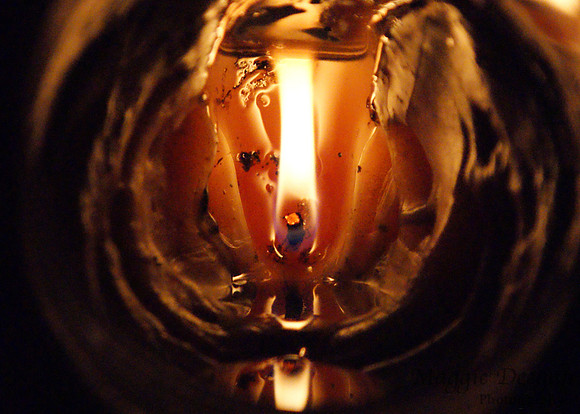 2009 Project 365