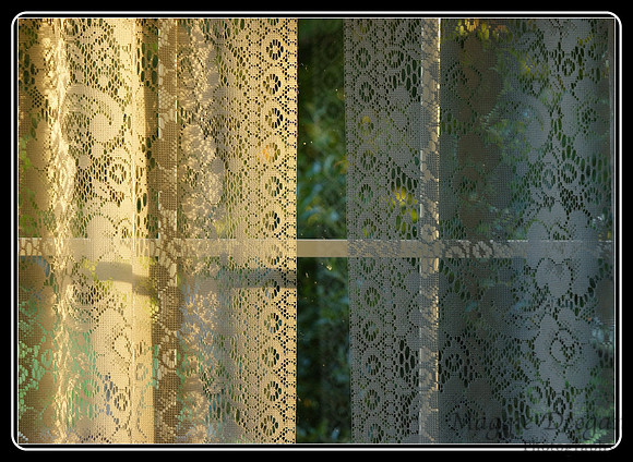 2009 Project 365