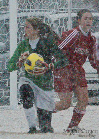 CASL 2010