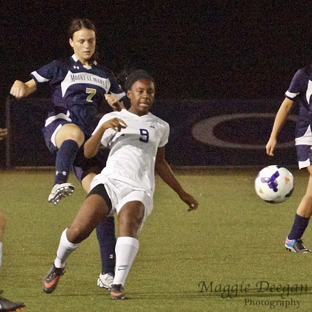 Fairleigh Dickinson University Mount St. Mary's University