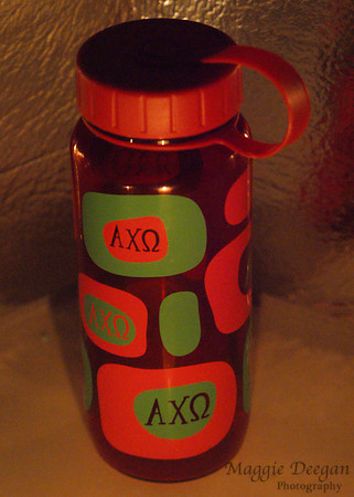 2009 Project 365