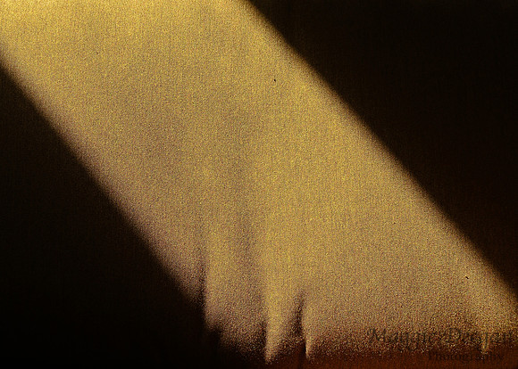 2009 Project 365