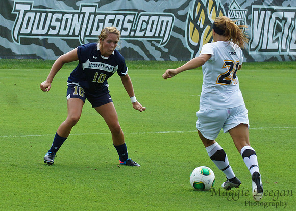 Towson University Mount St. Mary's University