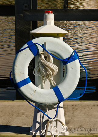 Travel 2010