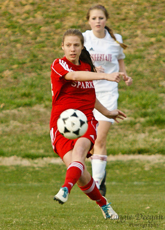 State Cup 2011