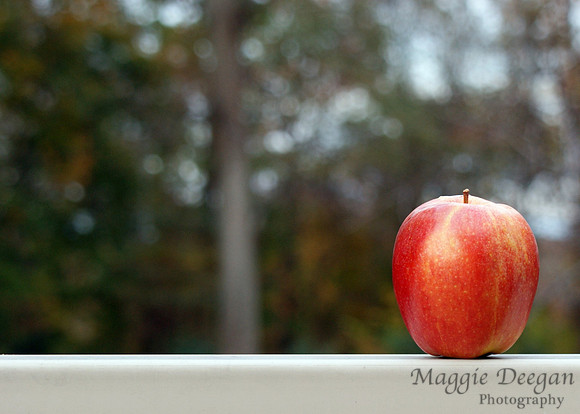 Nov 3 The Rule of Thirds