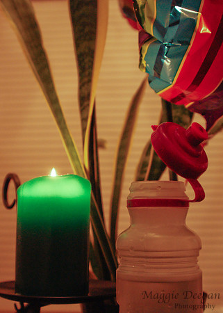 2009 Project 365