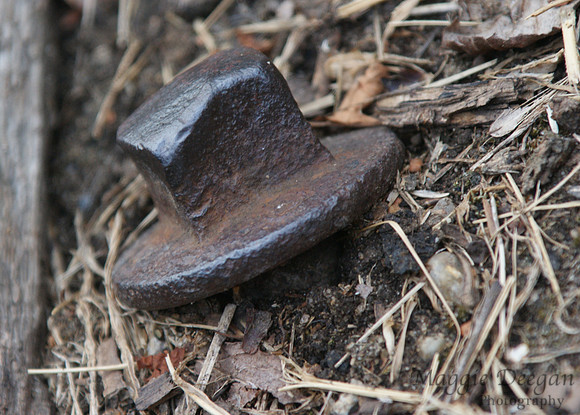 2009 Project 365