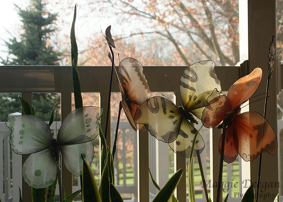 2009 Project 365
