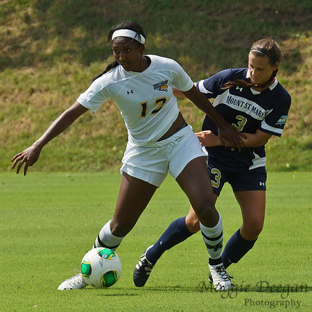 Towson University Mount St. Mary's University