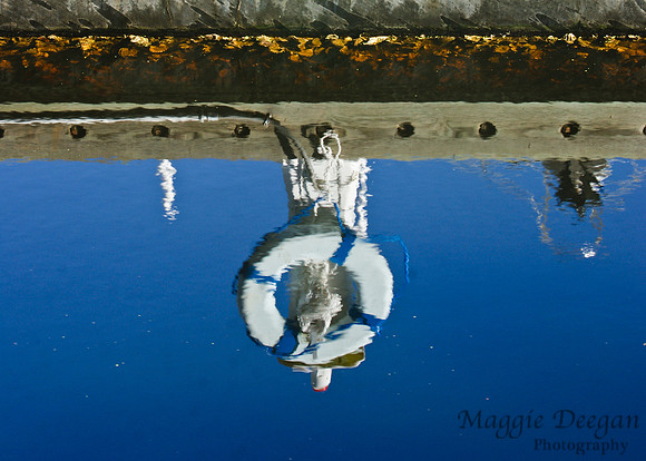 Travel 2010