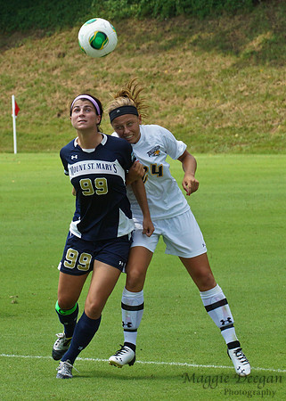 Towson University Mount St. Mary's University