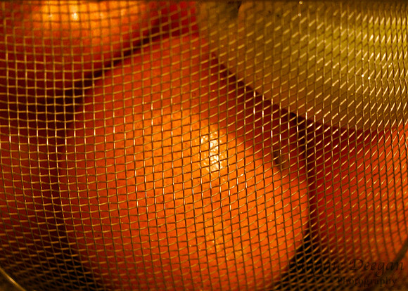 Nov 17 Fill The Frame