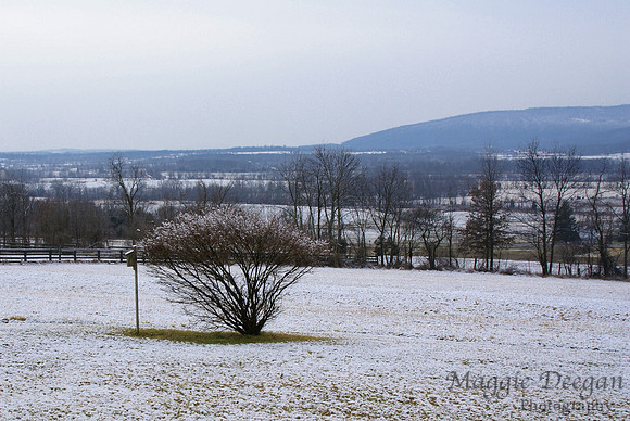 Travel 2012