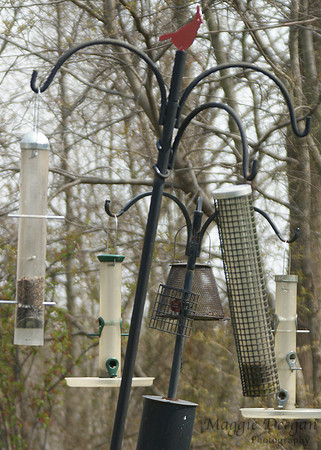 2009 Project 365