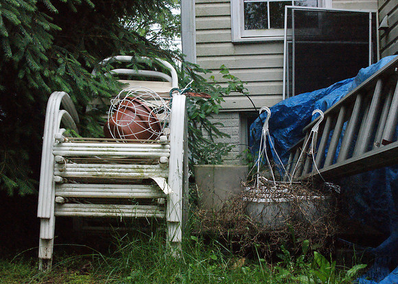 2009 Project 365
