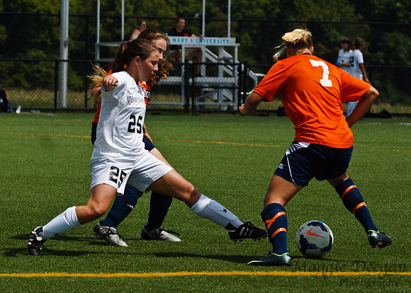 Mount St. Mary's University Bucknell University
