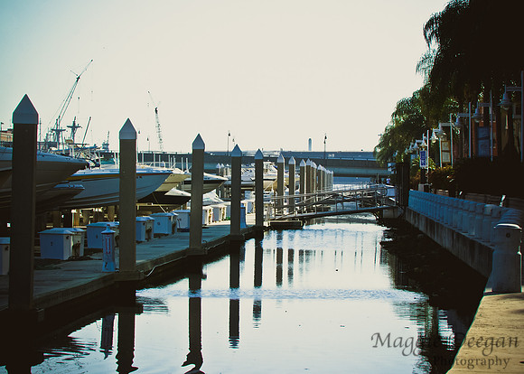 Travel 2010