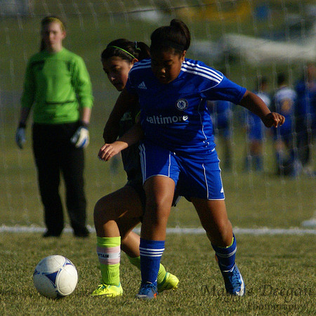 Maryland Presidents Cup 2012