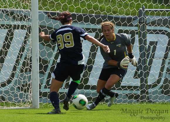 Towson University Mount St. Mary's University