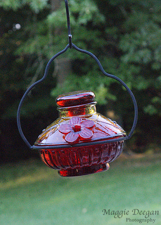 2009 Project 365