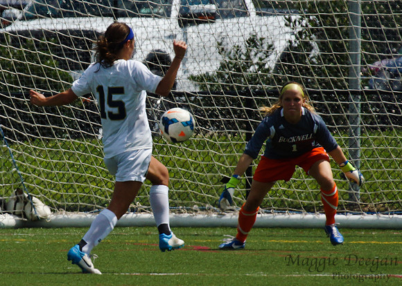 Mount St. Mary's University Bucknell University