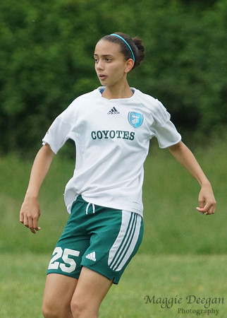 Maryland State Cup 2012