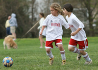Fireballs v DCST Metros 2H