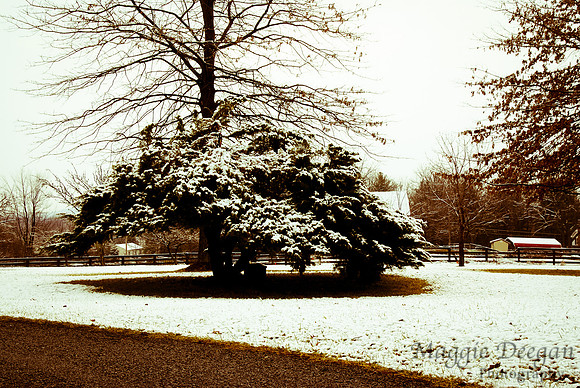 Travel 2012