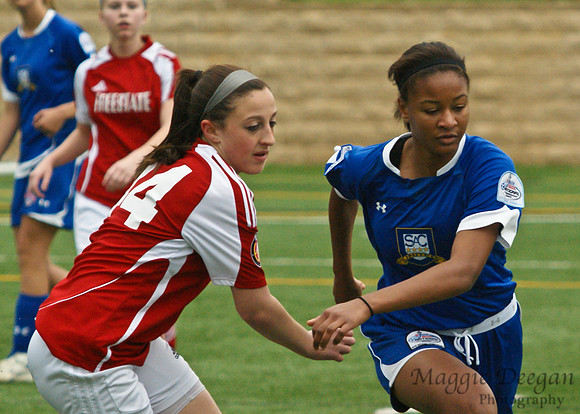 State Cup 2011