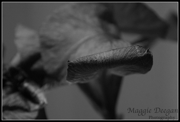 Apr 22 B&W 10 Mins from Home