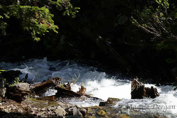 Travel 2011