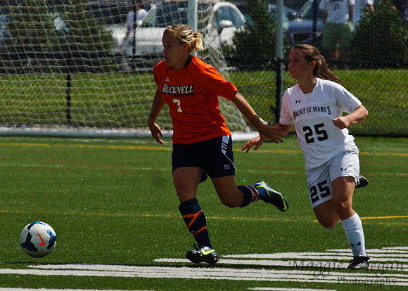 Mount St. Mary's University Bucknell University