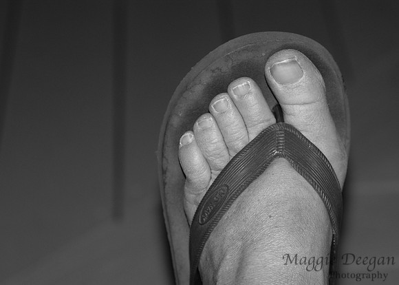 2009 Project 365