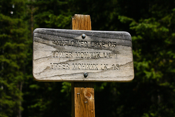 Travel 2011