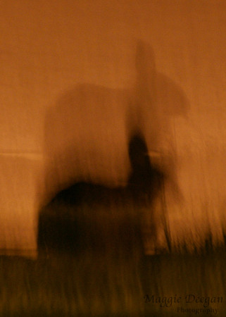 2009 Project 365