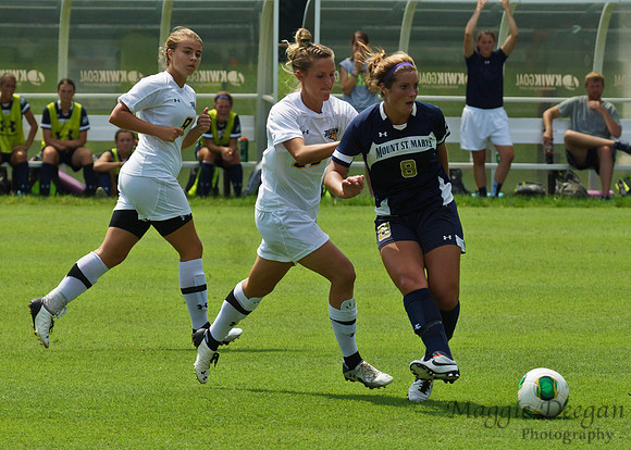 Towson University Mount St. Mary's University