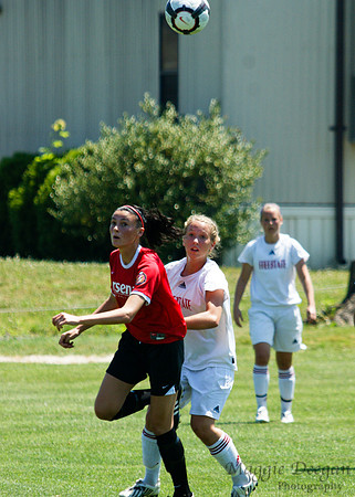 PDA Tournament 2010