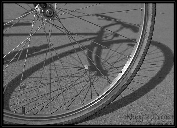 2009 Project 365